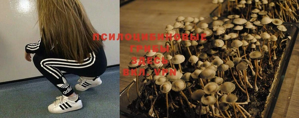 каннабис Алексеевка