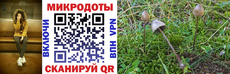 Галлюциногенные грибы Magic Shrooms  Болхов 